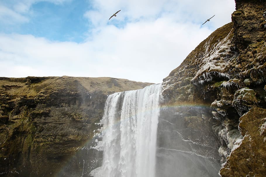 waterfalls photography, nature, outdoors, river, iceland, bird HD wallpaper