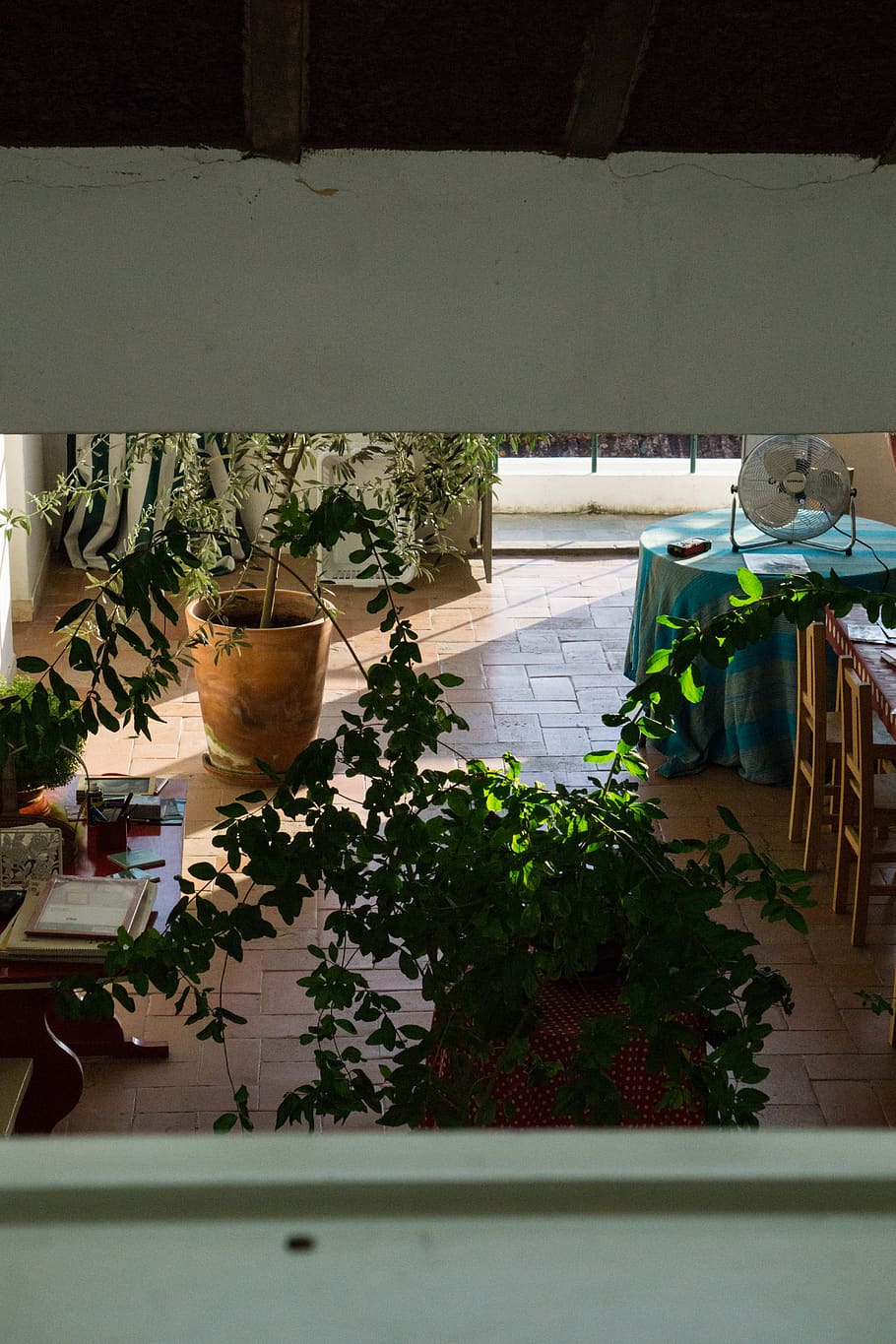 green-leafed plant, furniture, table, pot, building, jar, pottery HD wallpaper