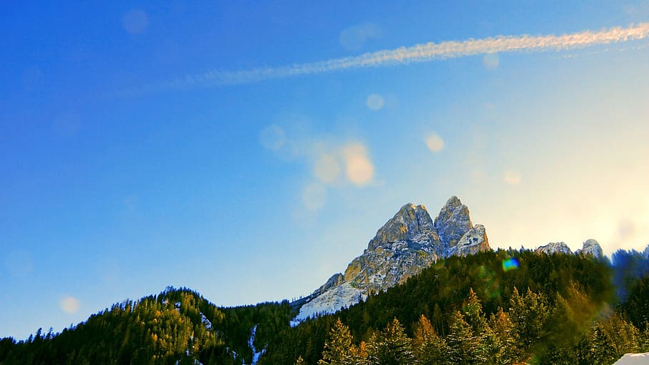green leaf trees near mountain, plant, fir, abies, nature, outdoors HD wallpaper