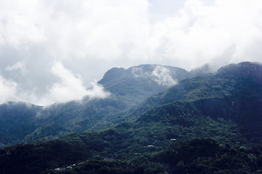 seychelles, victoria, trees, clouds, island, fog, mist, mountain HD wallpaper