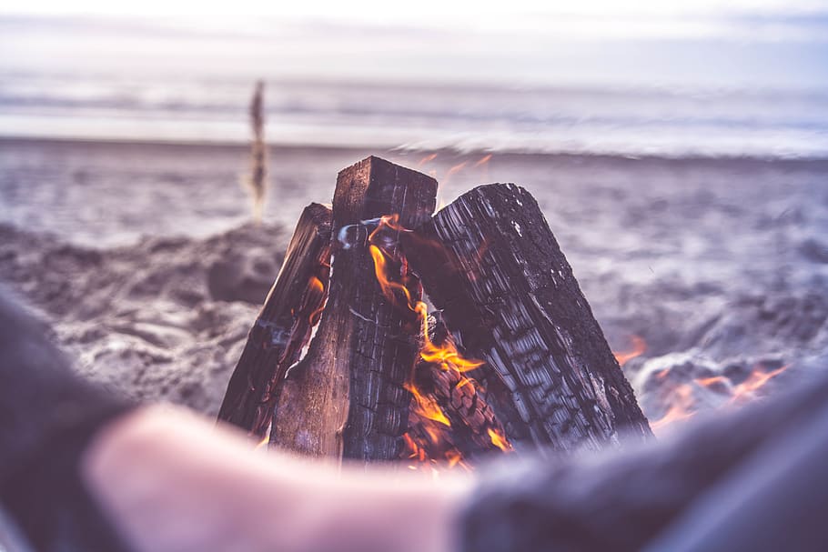 Close-up Photo of Bonfire, beach, camping, dawn, daylight, evening HD wallpaper