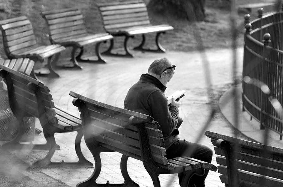 read, park, leisure, rest, relaxation, man, bank, seat, sitting HD wallpaper
