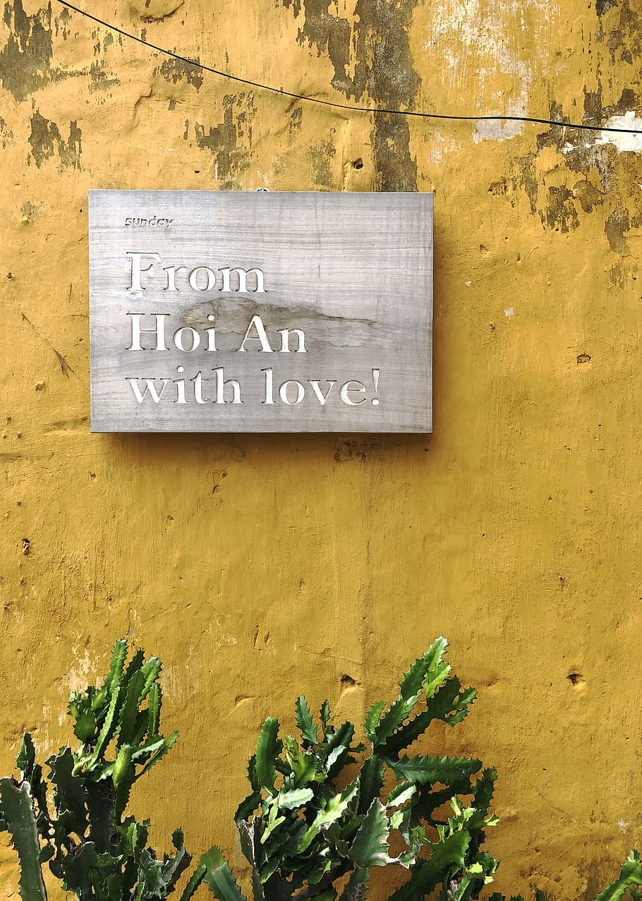 from hoi an with love, plant, vietnam, da nang, wall, text, holiday
