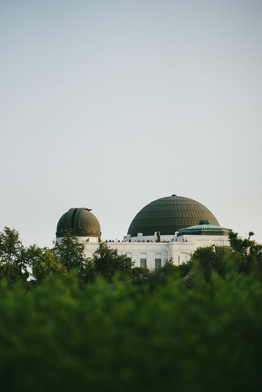 los angeles, united states, griffith observatory, trees, tourist