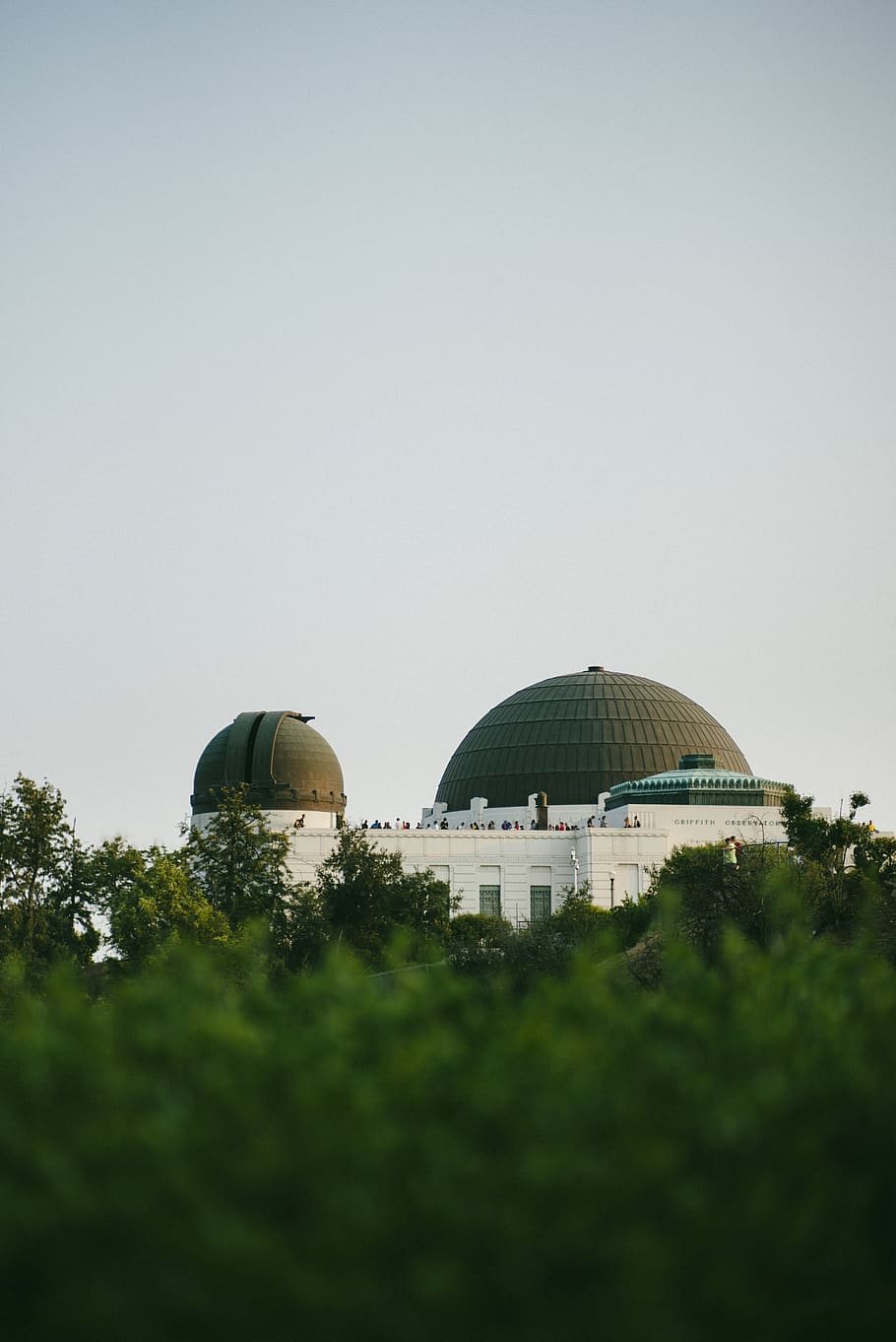 los angeles, united states, griffith observatory, trees, tourist, HD wallpaper