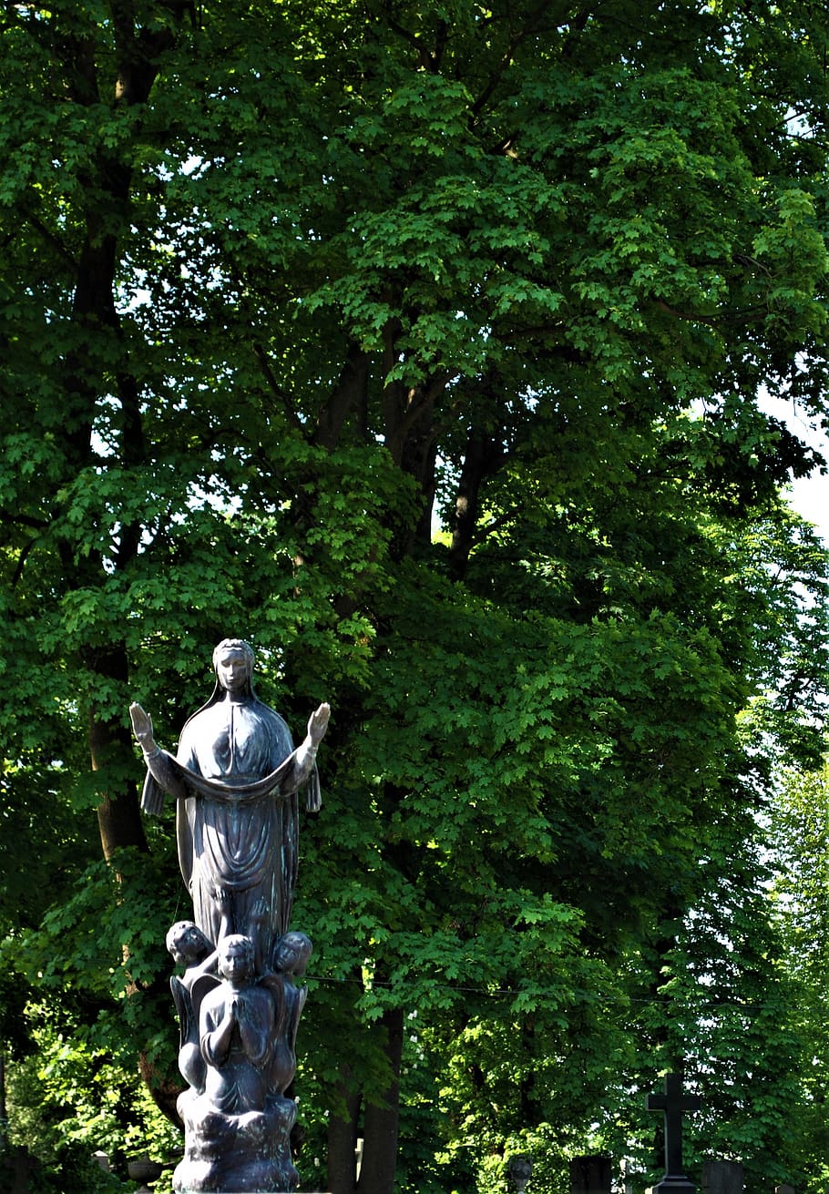 ukraine, l'viv, lychakiv cemetery, rock, tree, trees, green, HD wallpaper