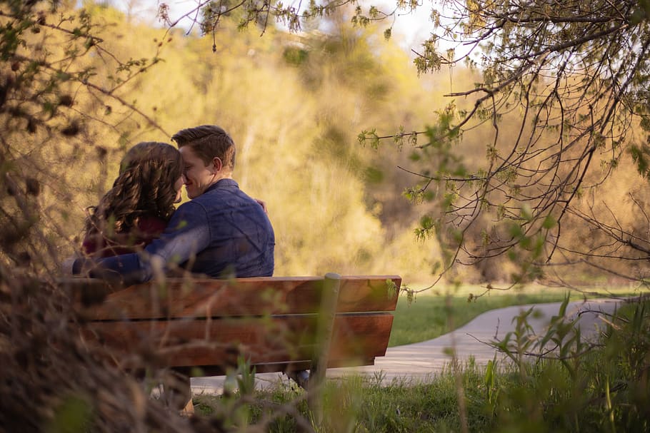 Photography of Couple Sitting on Bench, blur, branches, depth of field
