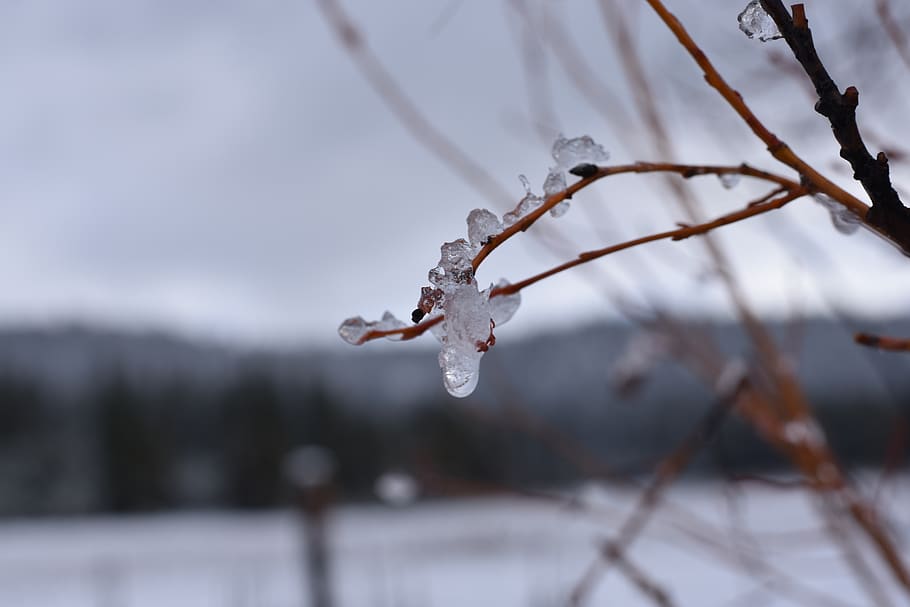 snow, ice, cold temperature, winter, focus on foreground, frozen HD wallpaper