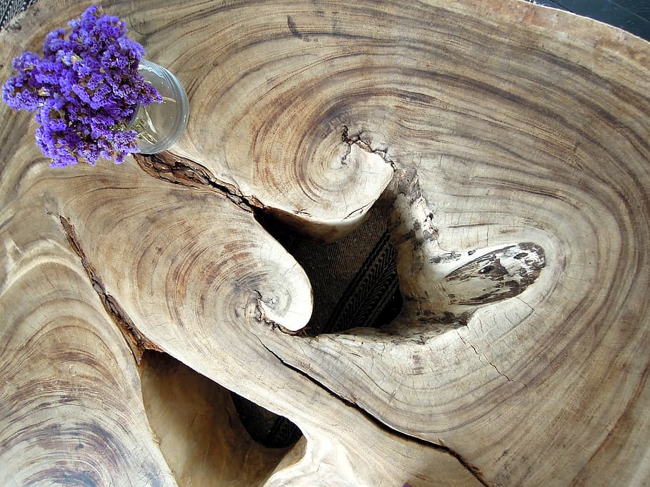 flowers, tree trunk, table, interior, plant, close-up, wood - material HD wallpaper
