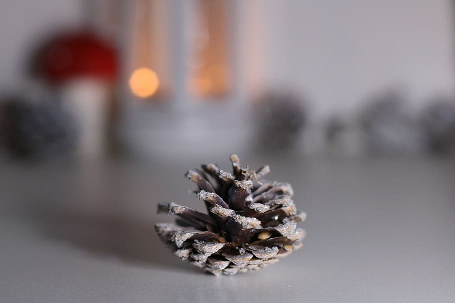 Brown Pinecone On Surface, close-up, macro, pine cone, no people HD wallpaper