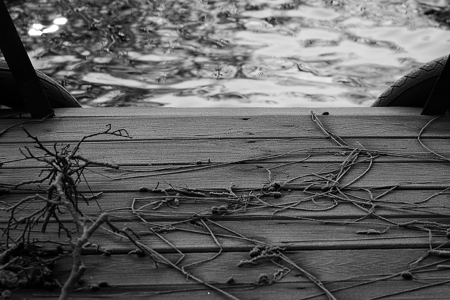 web, ice, winter, landscape, nature, lake, no people, focus on foreground HD wallpaper