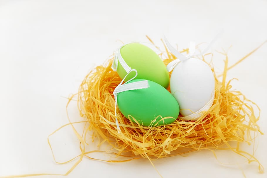 easter eggs, nest, easter nest, map, osterkarte, holiday, animal nest HD wallpaper