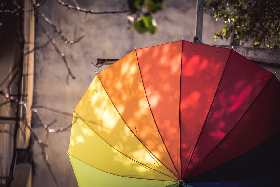 nature, tree, branches, umbrella, color, rainbow, leaves, no people HD wallpaper