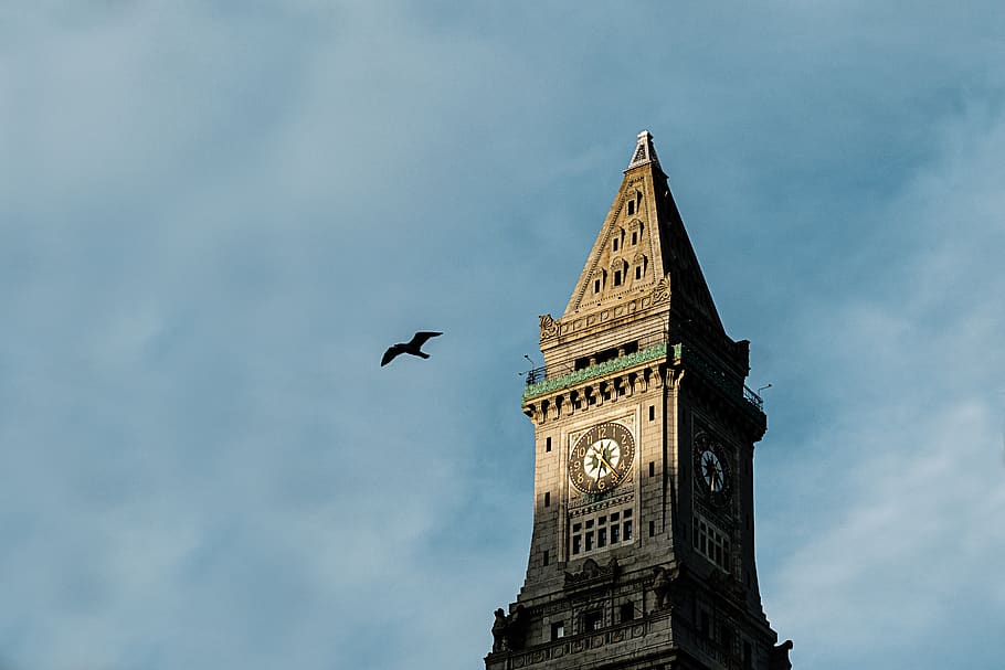 bird, clocktower, time, clouds, built structure, architecture HD wallpaper