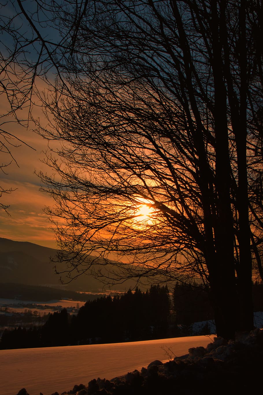 sunset, snow, forest, trees, cold, dusk, clouds, scenic, sky HD wallpaper