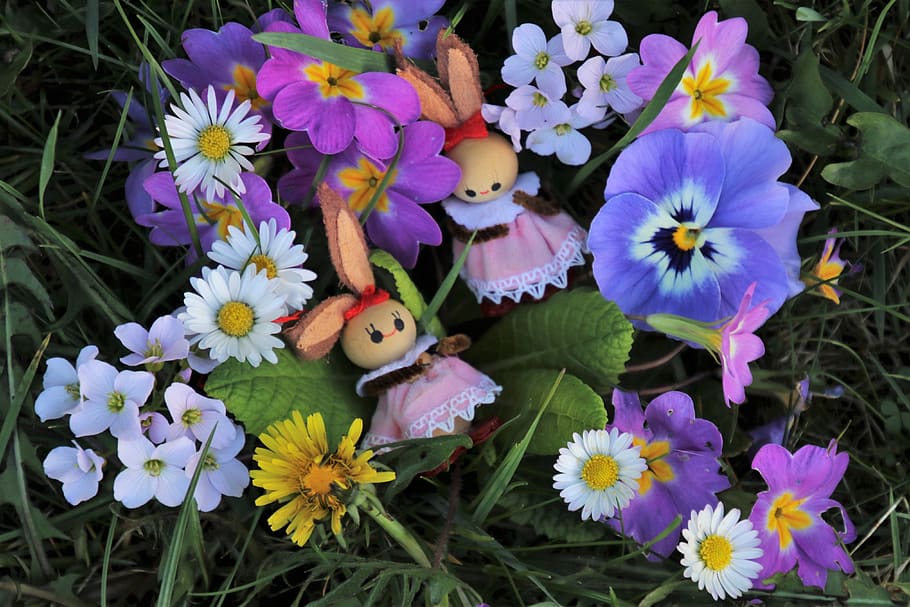 easter, flowers, bunny, hare, colorful, two, rabbit, easter holidays HD wallpaper