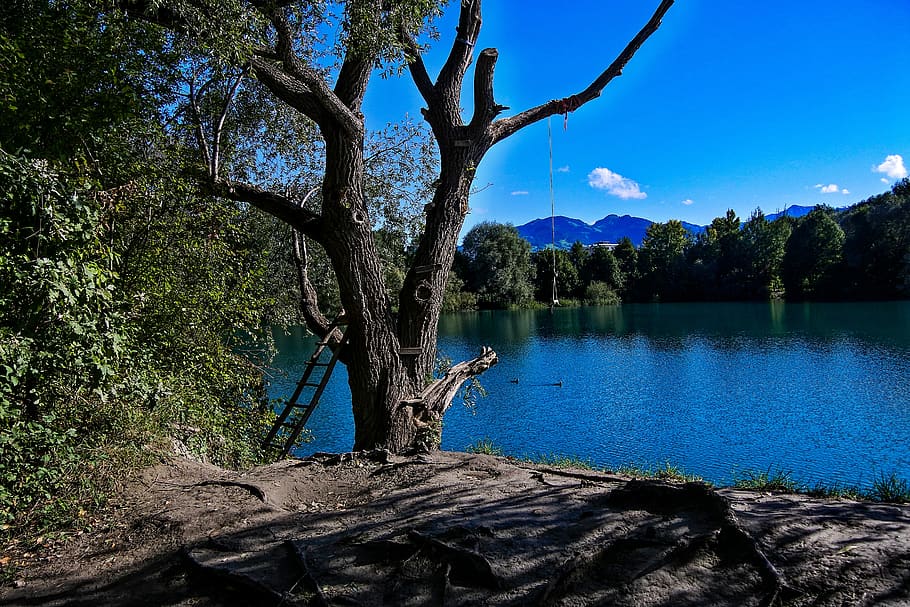 lake, tree, waters, nature, summer, rest, plant, tranquility HD wallpaper
