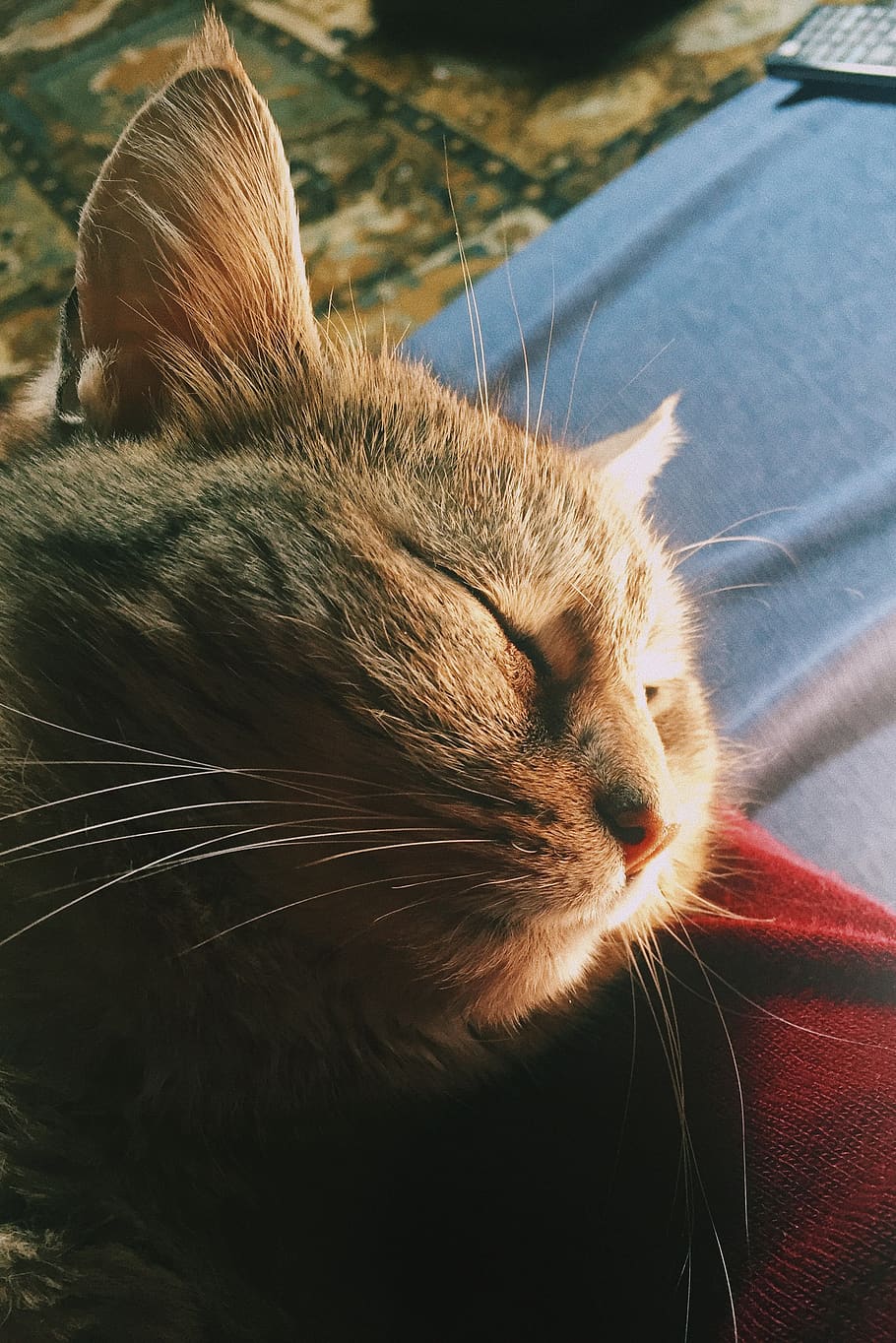 cute, iphone, analog, relax, portrait, wallpaper, cuddle, wanderlust HD wallpaper