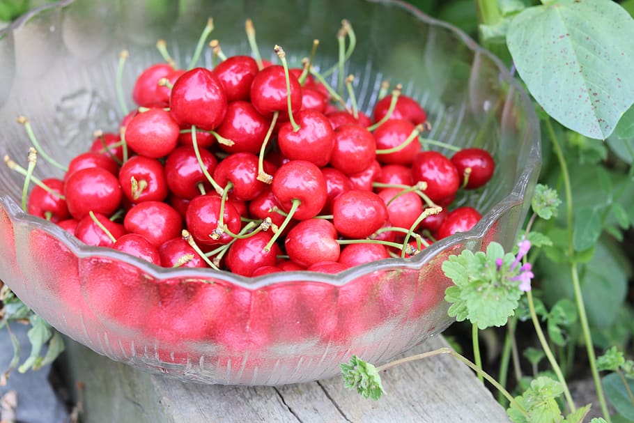 cherries, love, fruit, summer, vitamins, nature, red, heart HD wallpaper