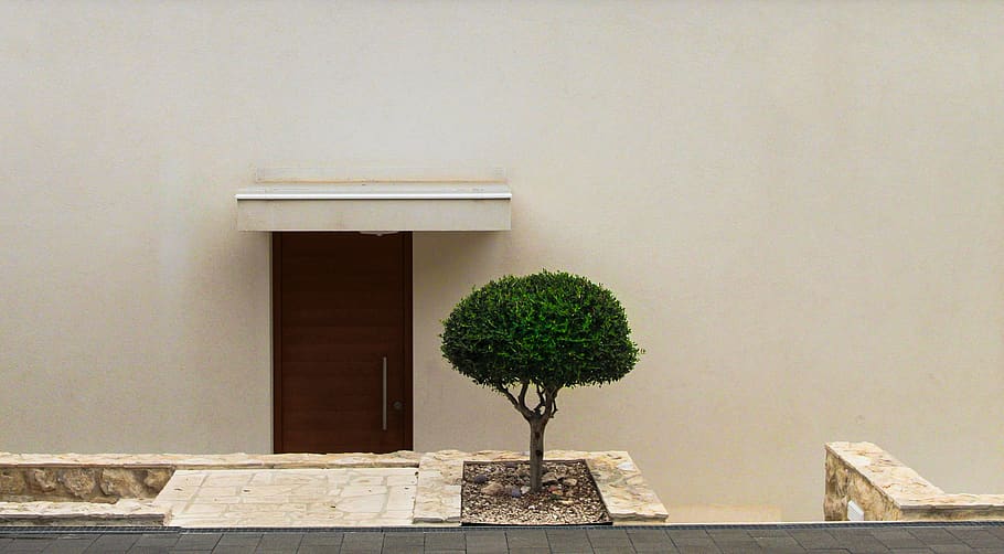 tree, wall, building, house, architecture, minimalist, built structure HD wallpaper