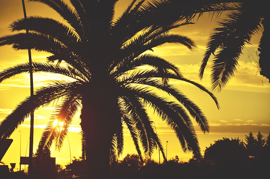 spain, palma, dreams, liveyourdream, borntobe, summer, sky HD wallpaper