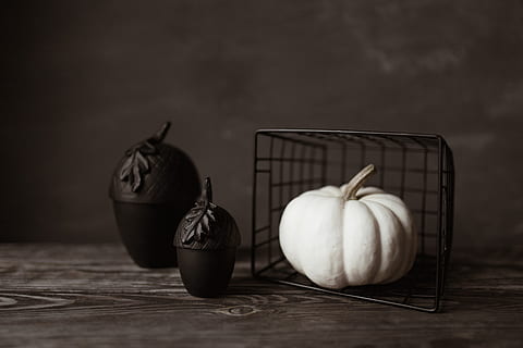 Dark mood home decorations, flowers, pumpkin, halloween, white pumpkin HD wallpaper