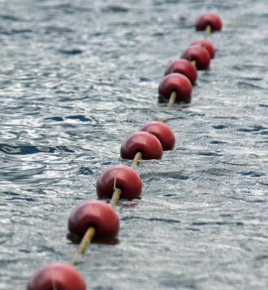 red, no people, close-up, water, in a row, nature, day, selective focus HD wallpaper