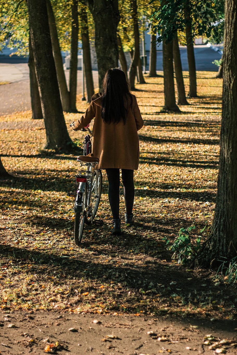 Woman Holding Bicycle Near Trees, adult, environment, fall, fashion HD wallpaper