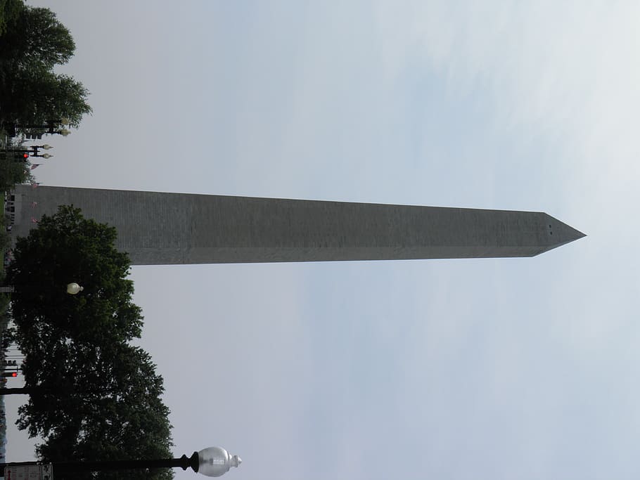 united states, washington, tree, sky, nature, day, plant, architecture HD wallpaper