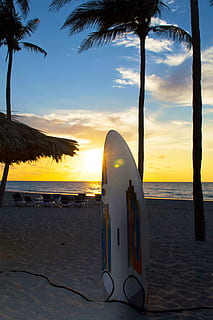 cuba, varadero, surfboard, palmtrees, beach, caribbean, sunset HD wallpaper
