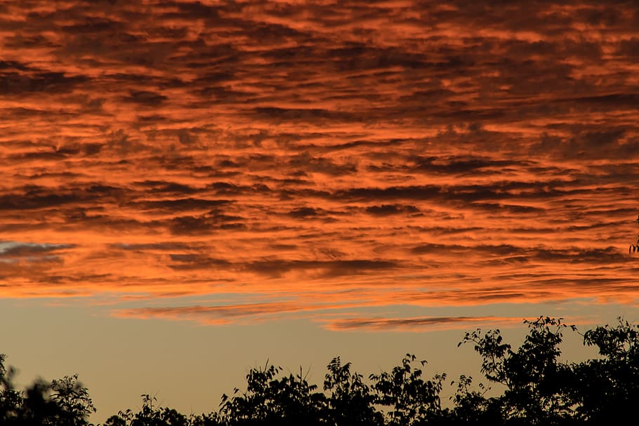 sunset, sky, grey, orange, blue, clouds, layered, horizon, trees HD wallpaper