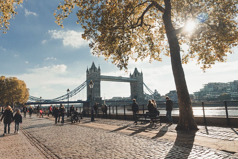View of People Near Bayside, architecture, bridge, buildings HD wallpaper
