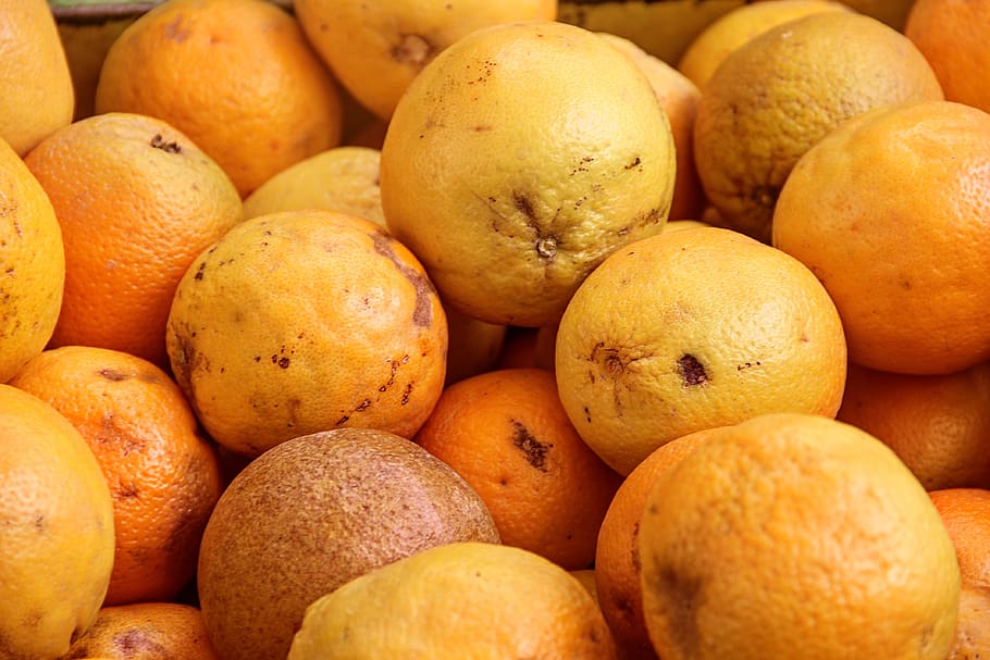 oranges, tropical fruits, mediterranean, vitaminhaltig, delicious HD wallpaper