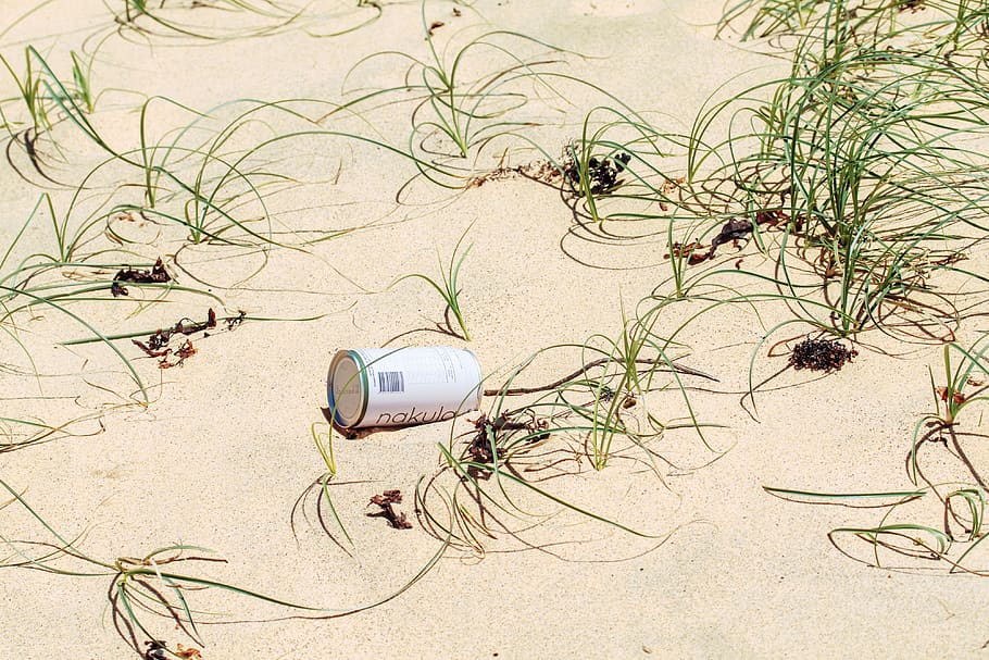 white can surrounded by green grass, nature, plant, beach, land HD wallpaper