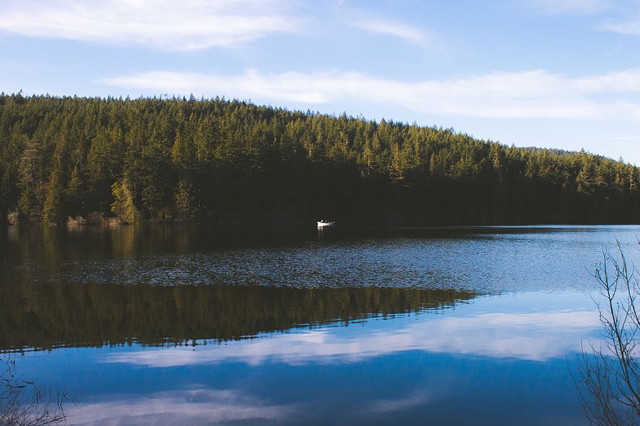 trees, lake, boating, island, mirror, water, plant, beauty in nature HD wallpaper