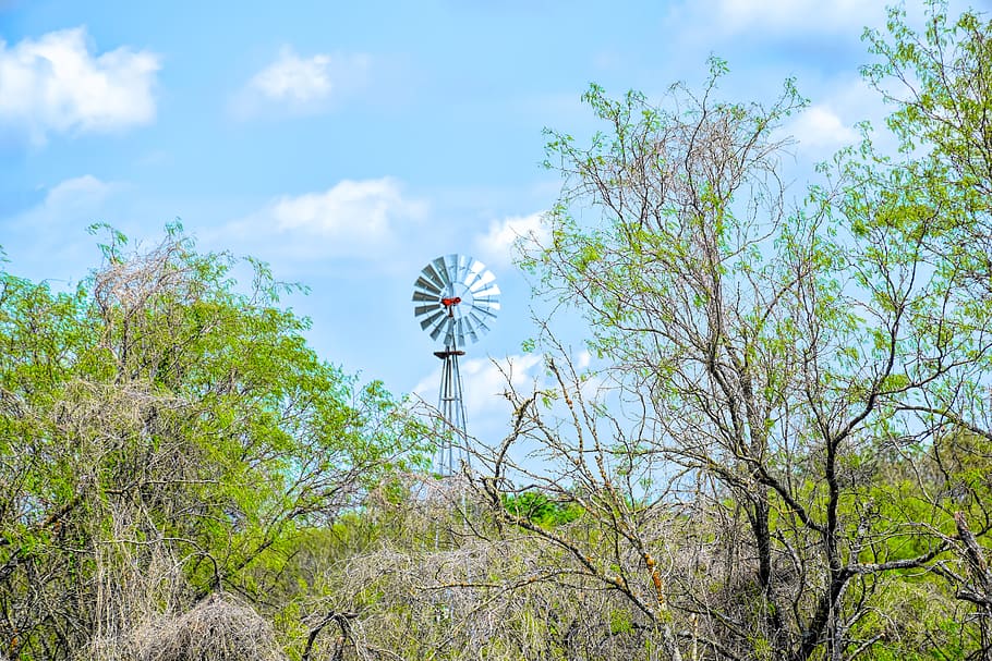 texas landscape, windmill, mesquite tree, western, rural, sky HD wallpaper