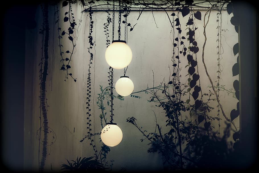 three white lighted hanging lights, lighting equipment, illuminated HD wallpaper