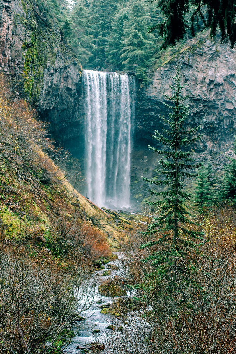 waterfalls on forest, river, outdoors, tamanawas falls, united states HD wallpaper