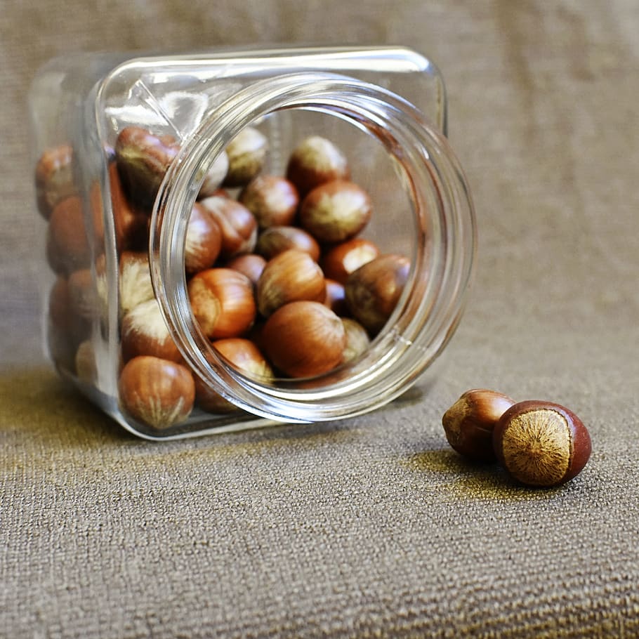 hazelnuts, jar, healthy nuts, vitamins, dieting, vegetarian, HD wallpaper