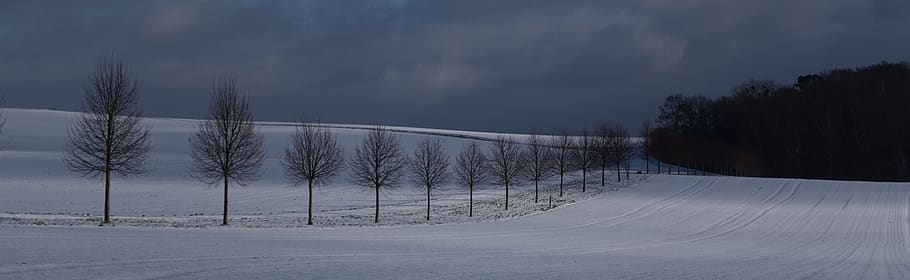 winter, cold, snow, frost, wintry, ice, landscape, nature, snowy HD wallpaper