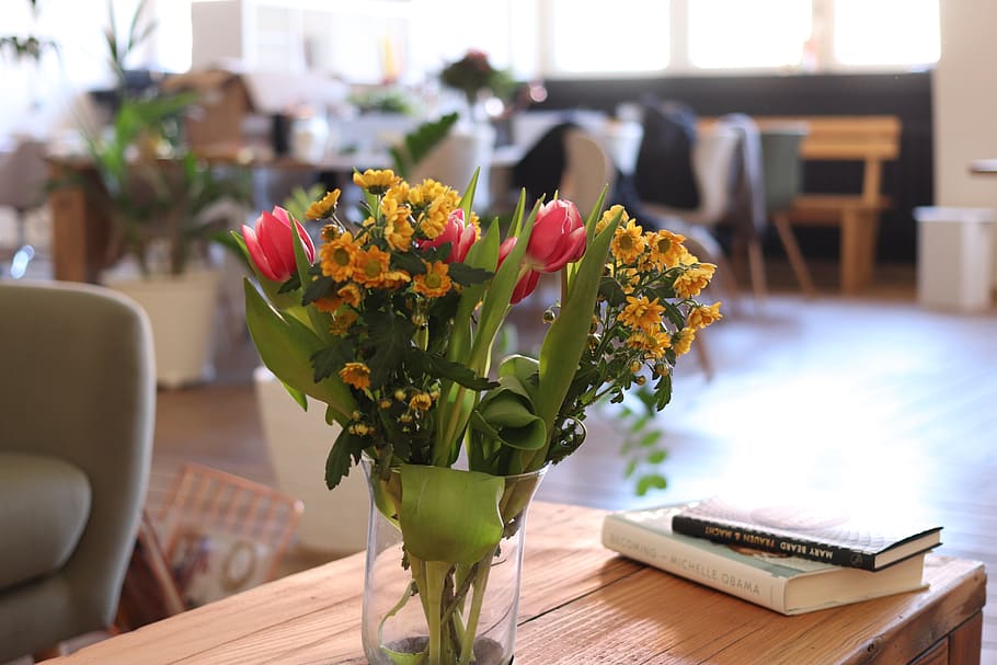 flower, flowering plant, vase, freshness, table, seat, indoors HD wallpaper