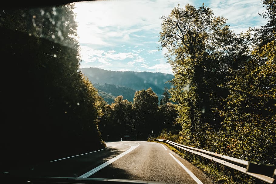 france, saint-claude, tree, transportation, plant, road, the way forward HD wallpaper