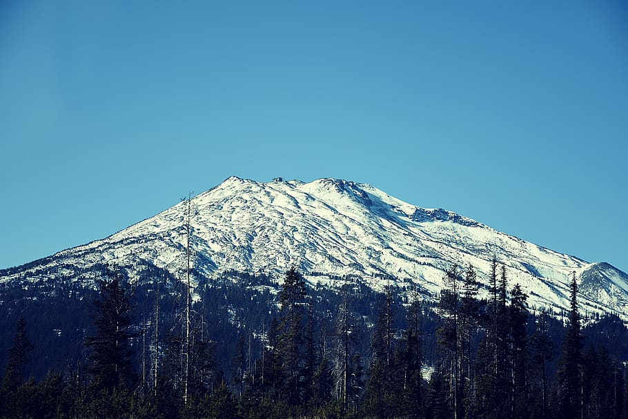 nature, mountain, outdoors, ice, mountain range, plant, tree HD wallpaper