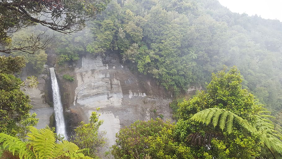 new zealand, mount damper falls, hidden, forest, waterfall, HD wallpaper