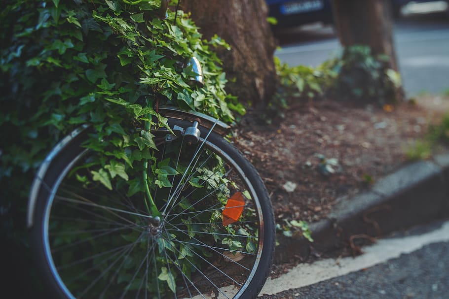 wheel, machine, bicycle, transportation, vehicle, bike, spoke HD wallpaper