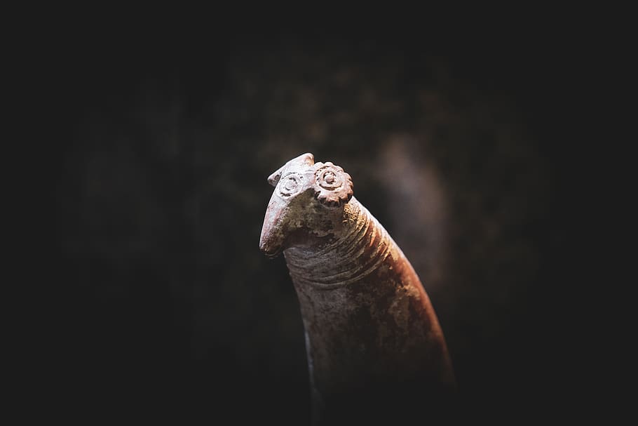 1500 bc, goat, studio shot, no people, black background, close-up HD wallpaper