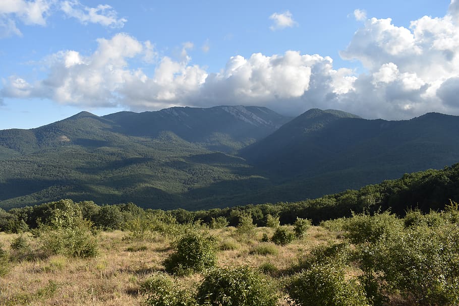 mountains, forest, landscape, crimea, forests, trees, nature HD wallpaper