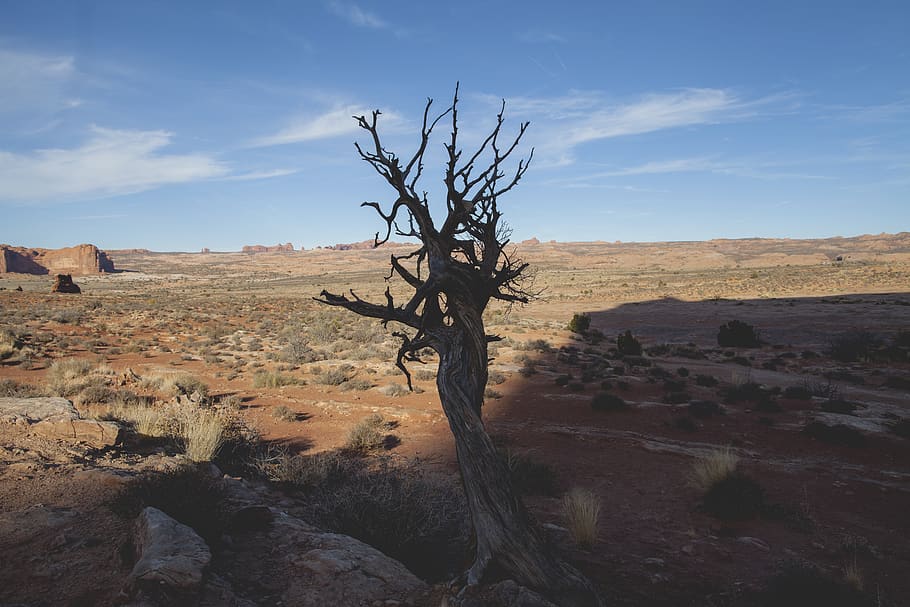 mountain, rock formation, tree, field, dirt, shadow, sky, environment HD wallpaper
