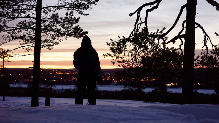 silhouette of person in between two trees, lights, snow, standing HD wallpaper