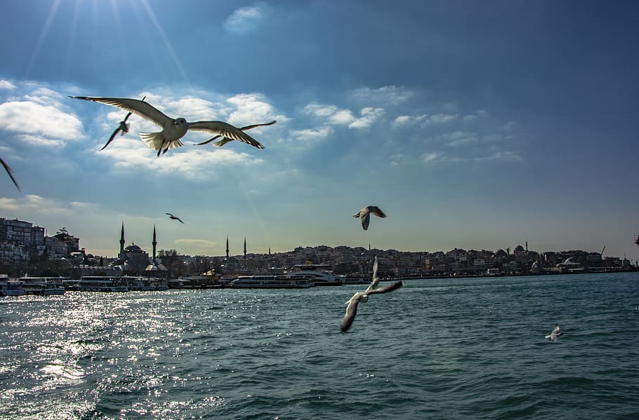 istanbul, landscape, turkey, sky, clouds, beautiful, cami, marine HD wallpaper